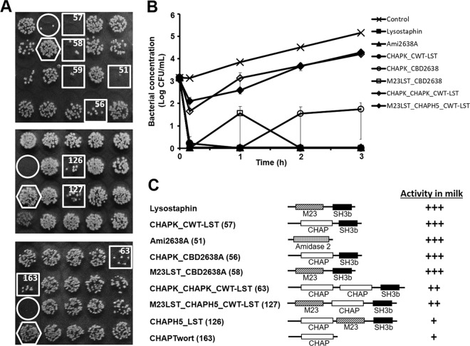 FIG 1