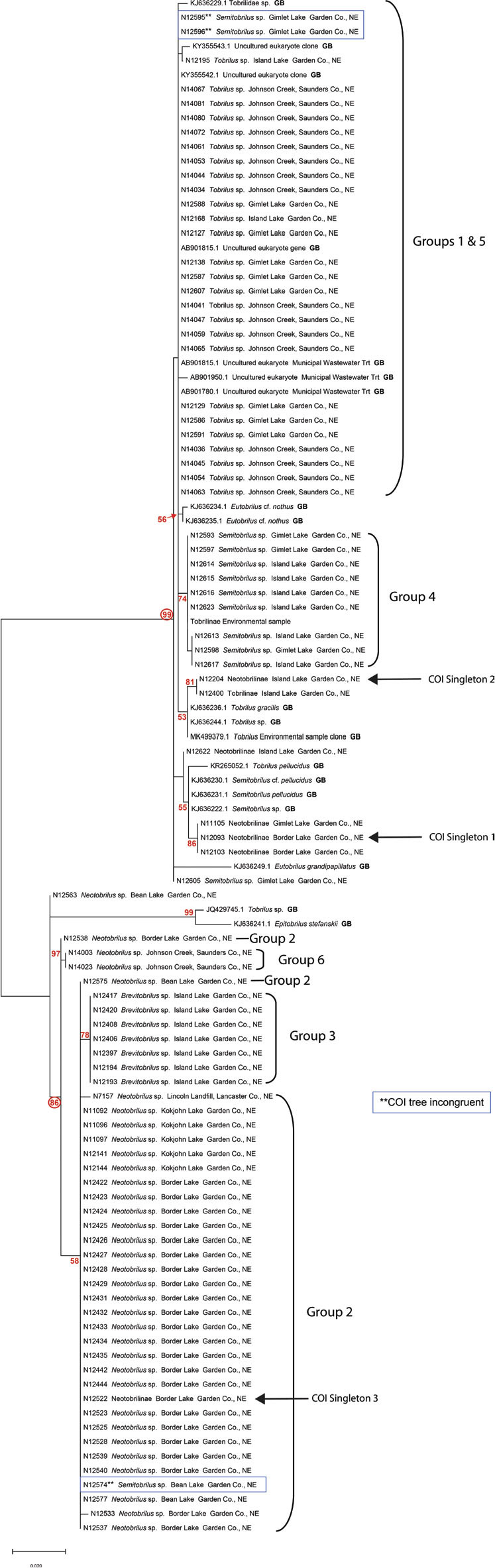 Figure 13.