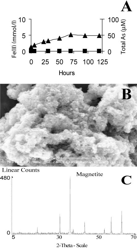 FIG. 5.