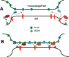 FIGURE 11.