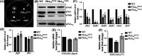 FIG 6