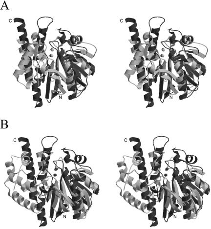 FIG. 5.