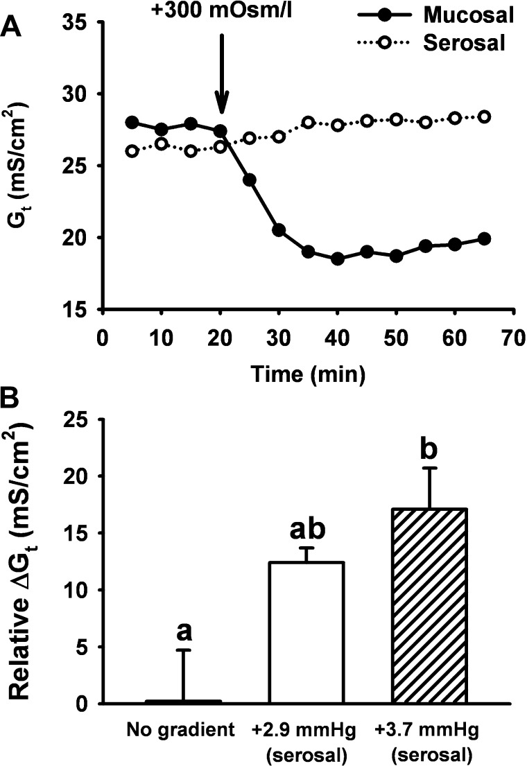 Fig. 8.