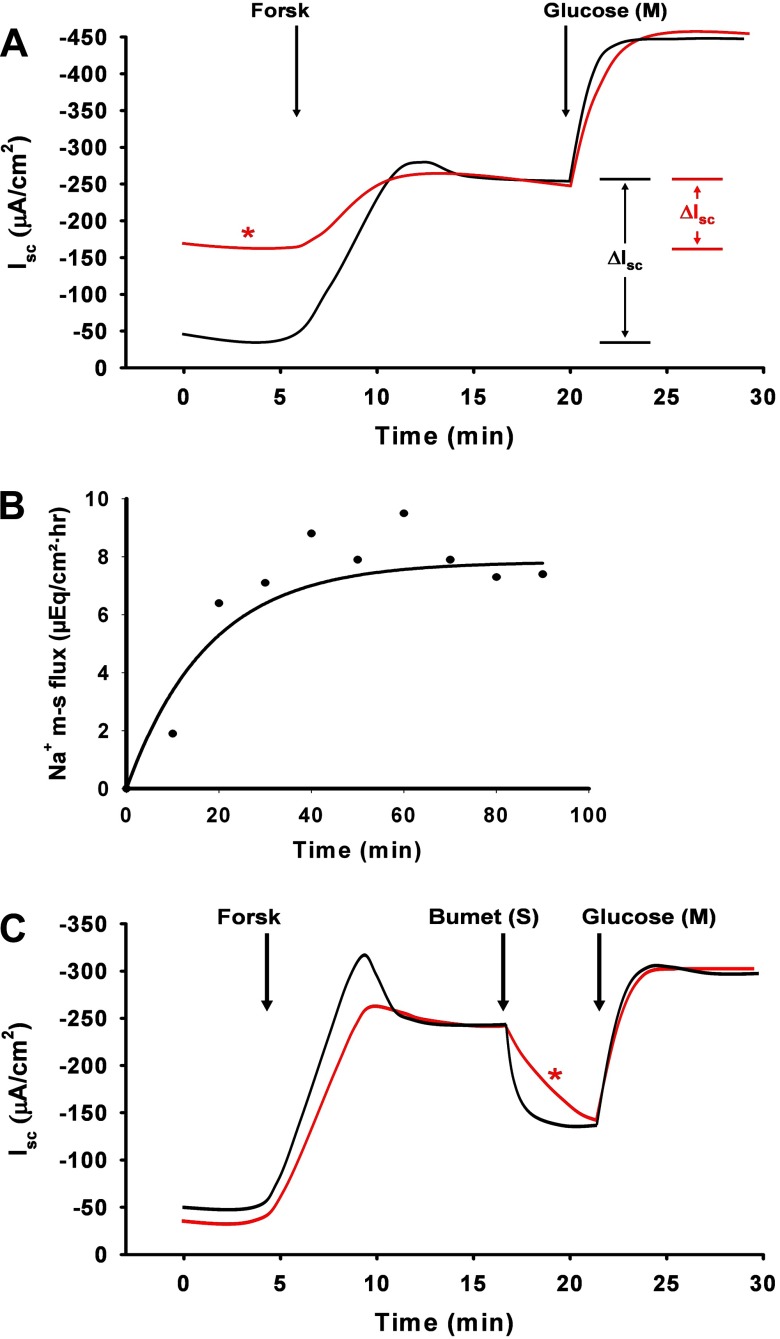 Fig. 6.