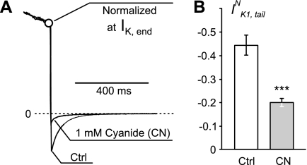 Fig. 5.