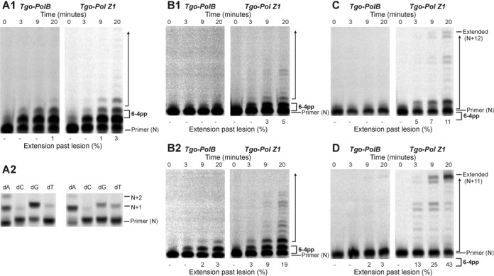 Figure 6.