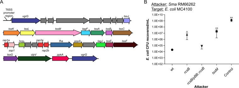 FIG 1 