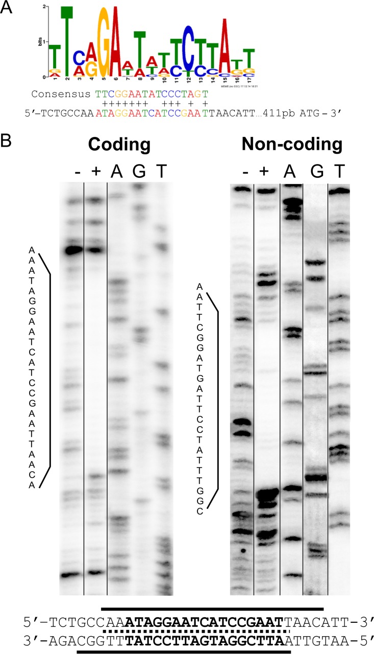 FIG 2 