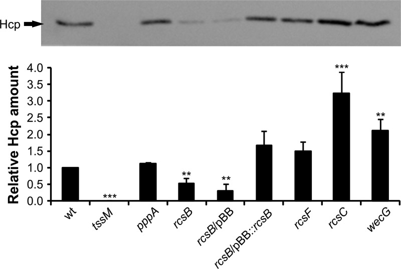 FIG 3 