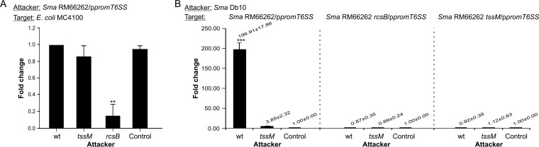 FIG 5 