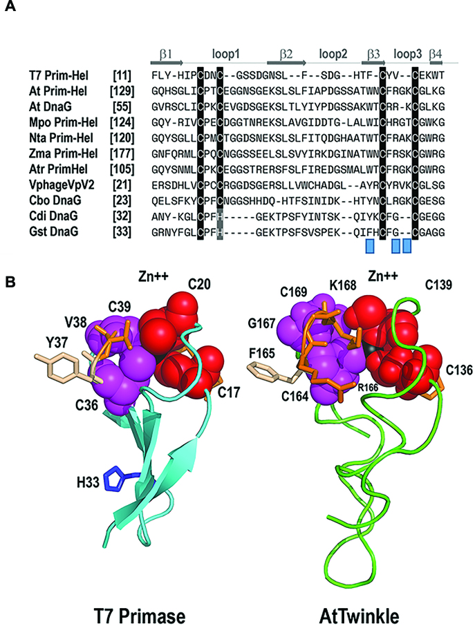 Figure 9.