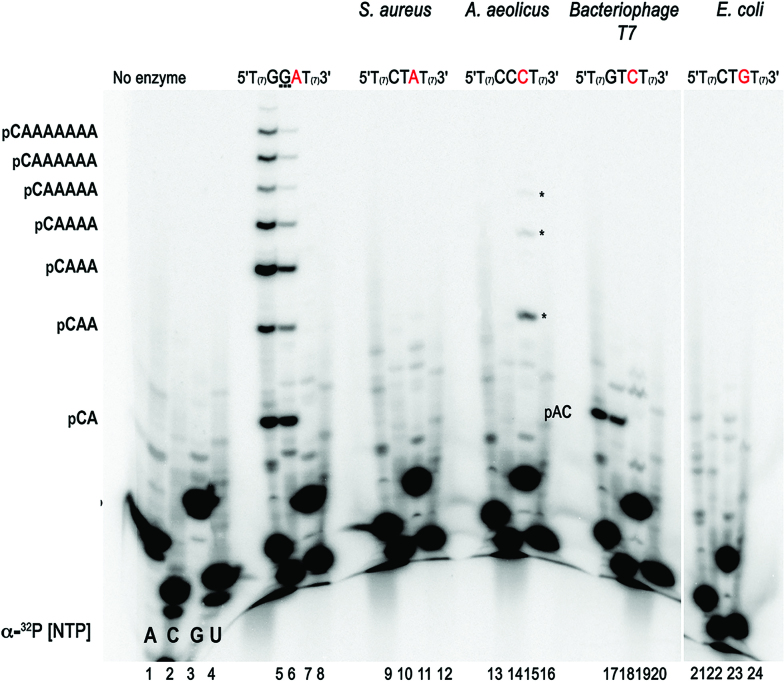 Figure 5.