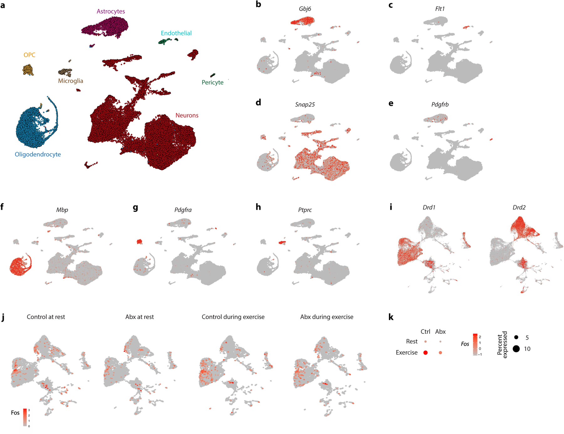 Extended Data Fig. 5 |