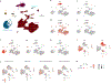 Extended Data Fig. 5 |