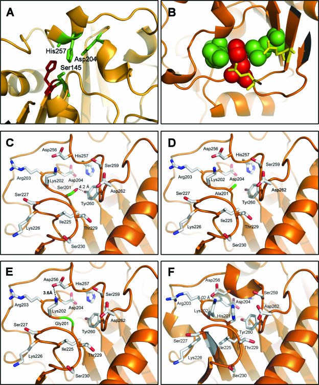 FIG. 6.