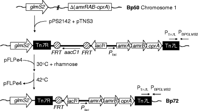 FIG. 5.