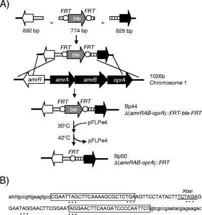 FIG. 3.