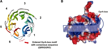 Figure 1.