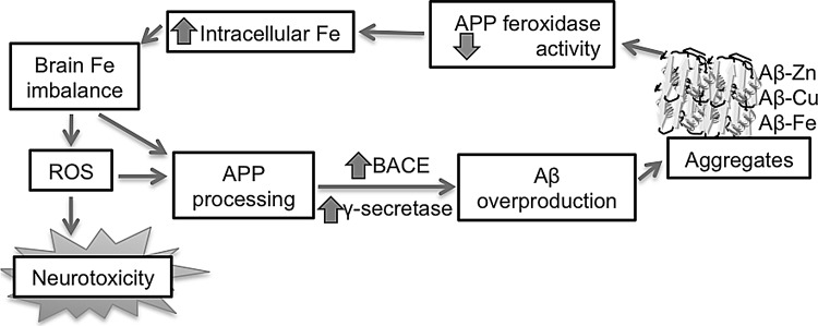 FIG. 10.