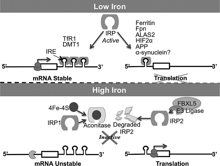 FIG. 6.