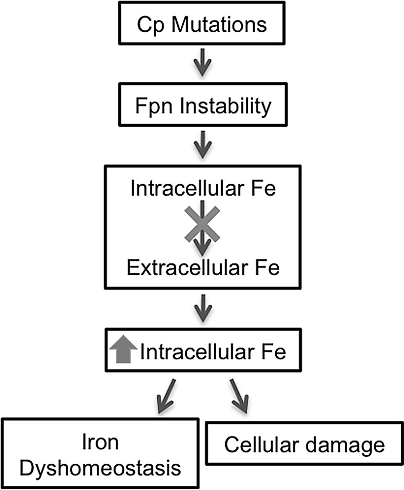 FIG. 9.