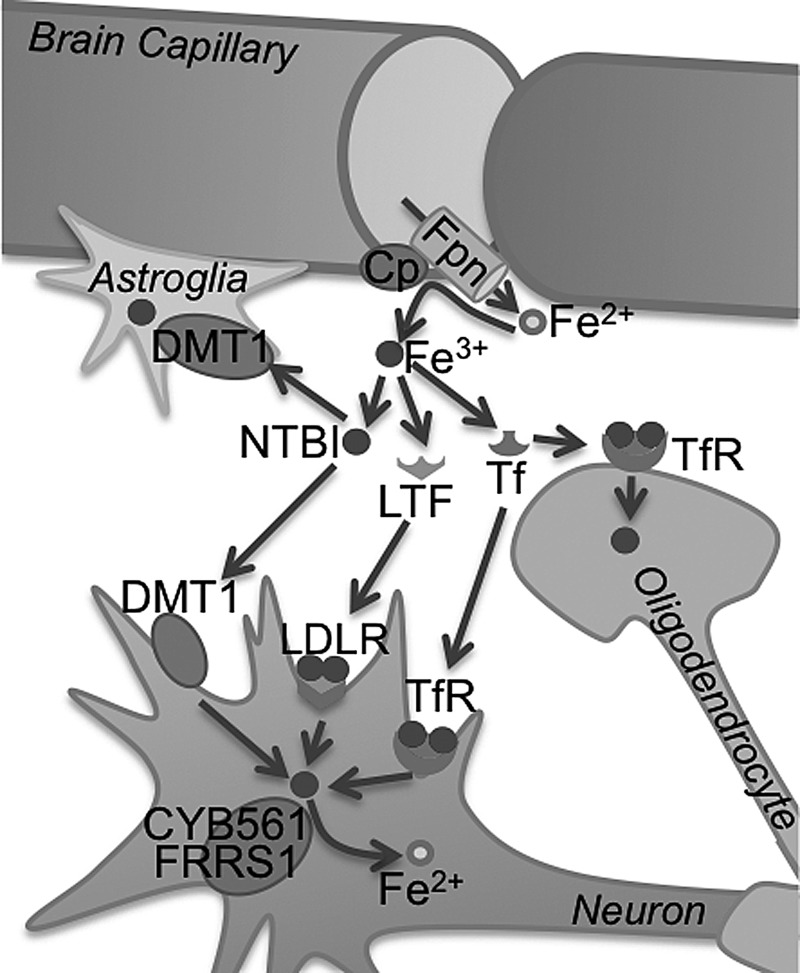 FIG. 7.