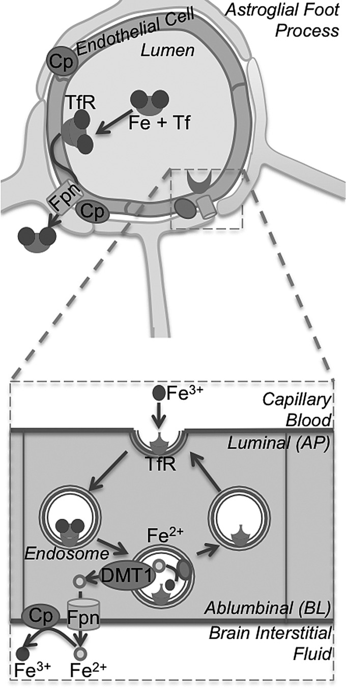 FIG. 8.