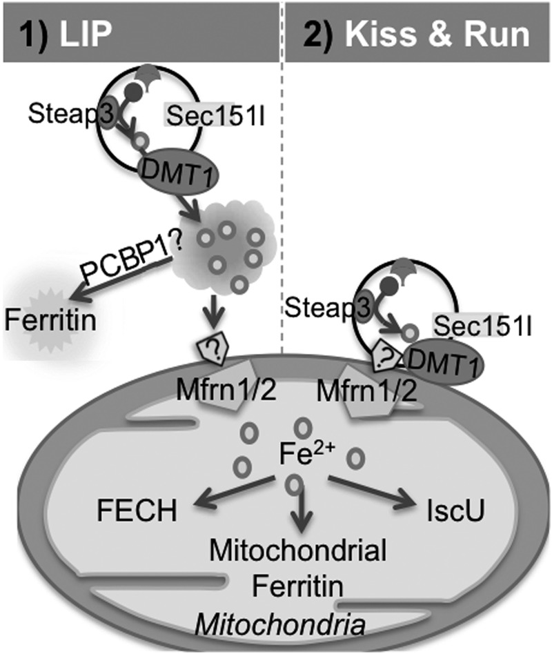 FIG. 11.