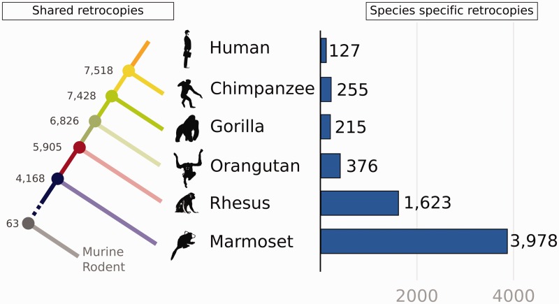 Fig. 2.—