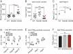 Graphs showing increased blood glucose, and decreased islet insulin content, increased Ptger3 expression from WT to NGOB to HGOB mice, with no effects on expression of islet PGE2 synthetic genes or PGE2 excretion.