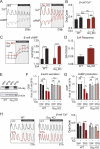 Graphs showing that Gɑz-null islets have higher β-cell cAMP levels and respond more strongly to Ex4 to potentiate cAMP levels. Graphs showing EP3γ expression reduces islet cAMP production and GSIS in a Gɑz-dependent manner, but the effect of sulprostone to reduce Ca2+ duty cycle is Gɑz-independent.