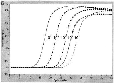 FIG. 1.