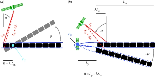 Figure 5.