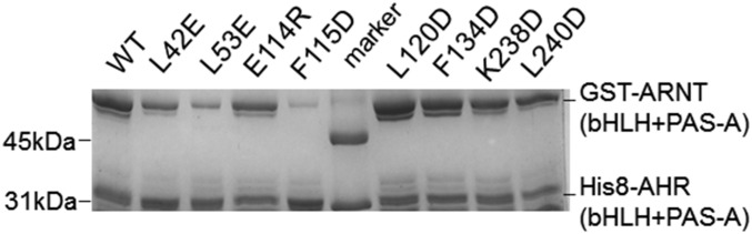 Fig. S2.