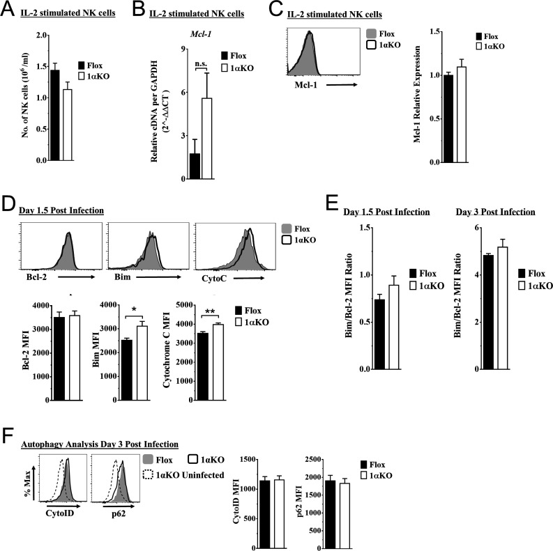 Figure 5—figure supplement 1.