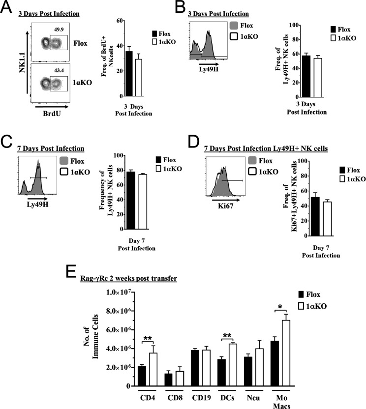 Figure 4—figure supplement 1.