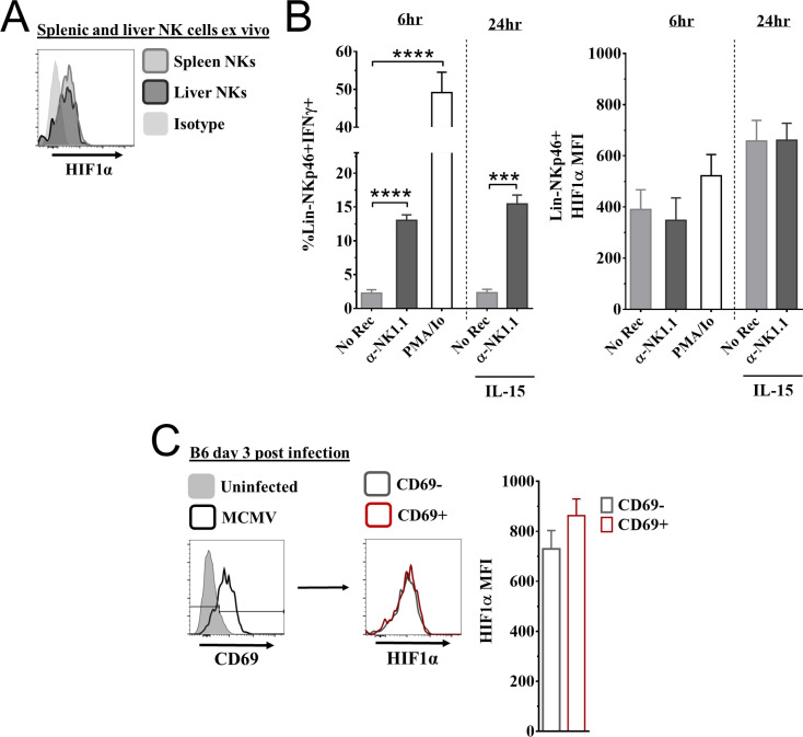 Figure 1—figure supplement 1.