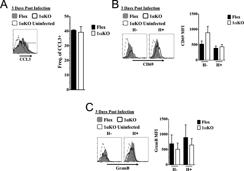 Figure 3—figure supplement 1.