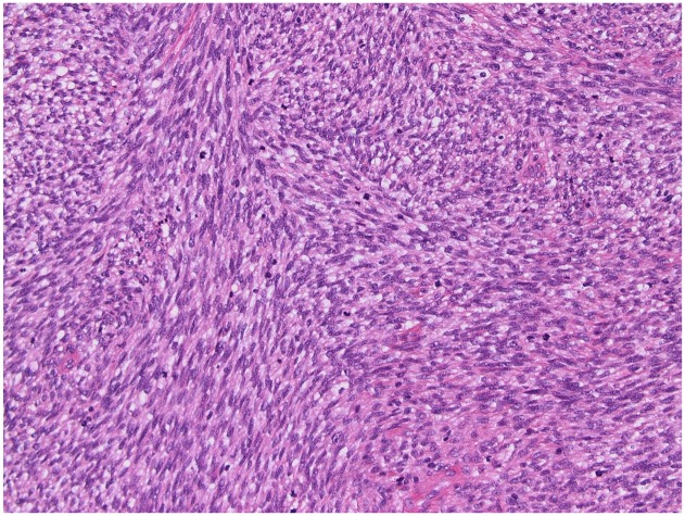 Figure 2.