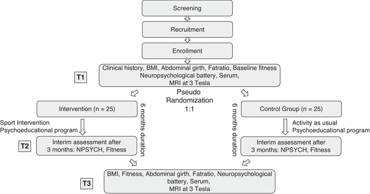 FIGURE 1