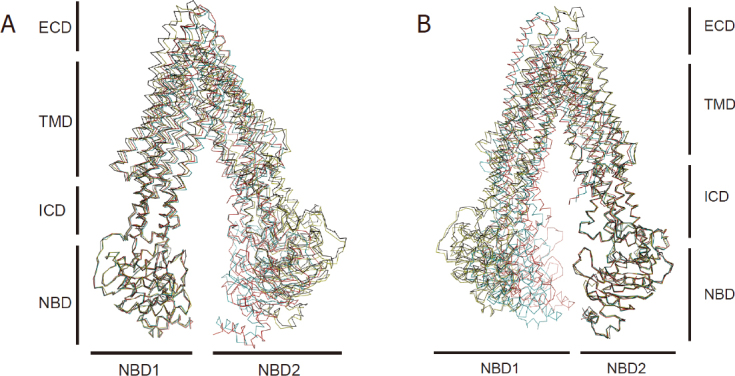 Figure 4