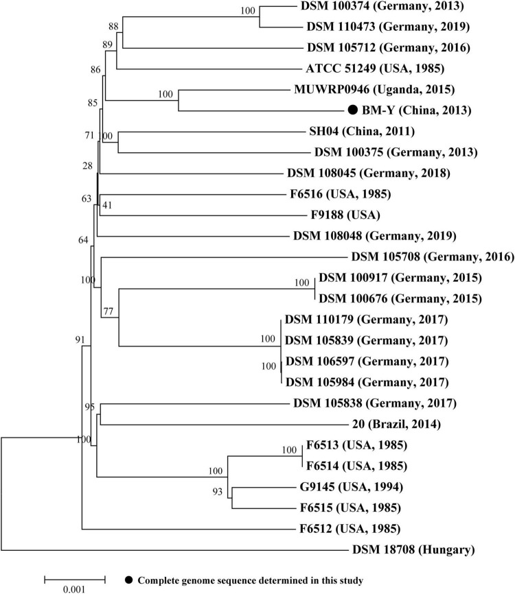 FIGURE 3