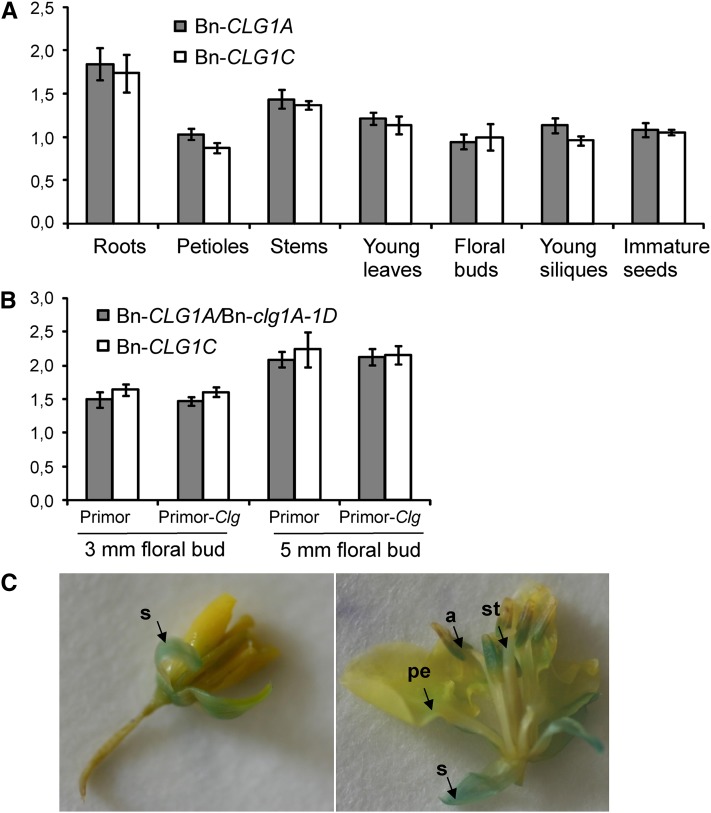 Figure 6.