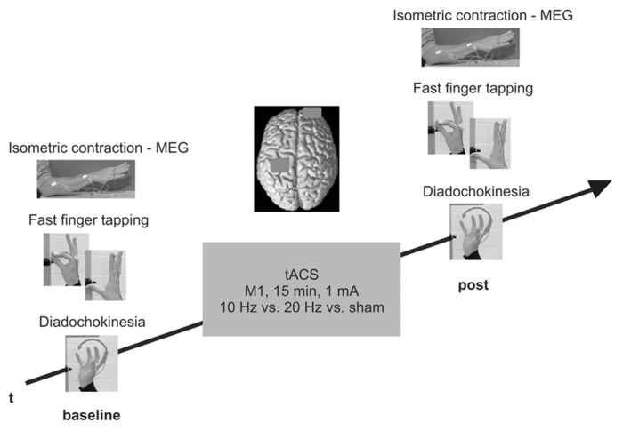 FIGURE 1