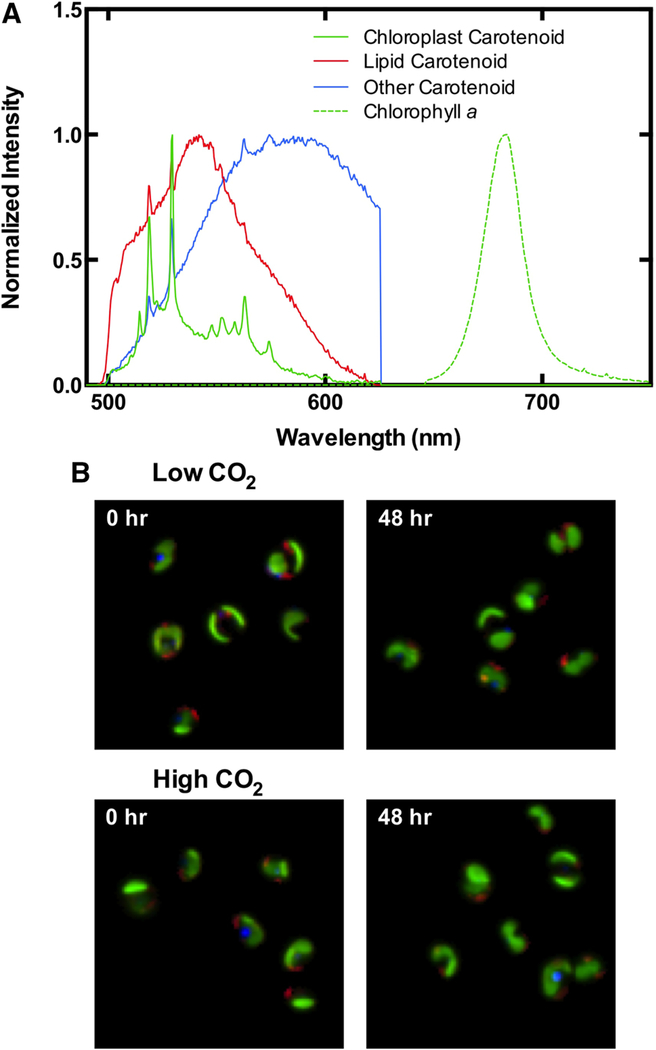 Fig. 9