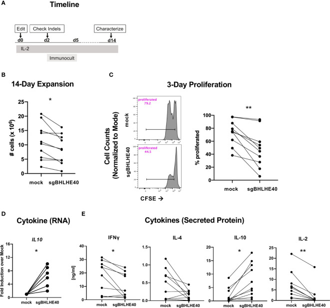 Figure 4