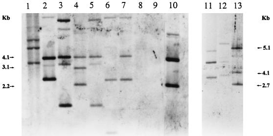 FIG. 1