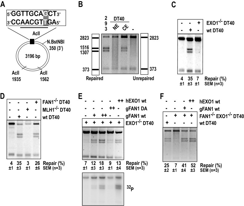 FIG 1