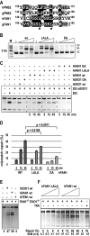 FIG 2
