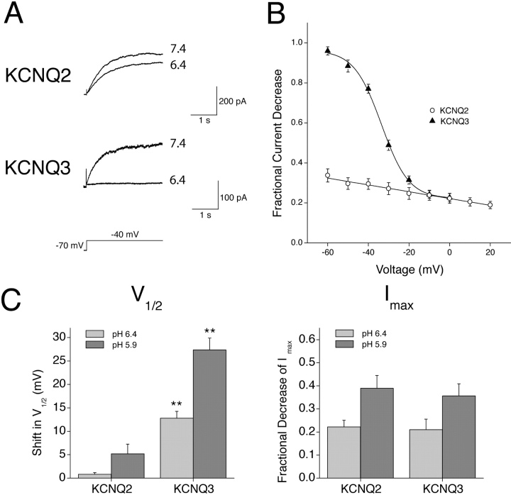 Figure 12. 